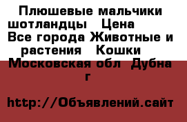 Плюшевые мальчики шотландцы › Цена ­ 500 - Все города Животные и растения » Кошки   . Московская обл.,Дубна г.